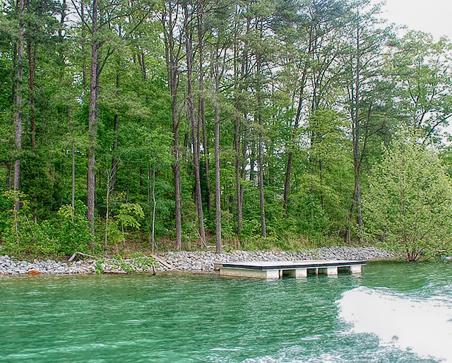Cove Norris real estate for sale on Norris Lake